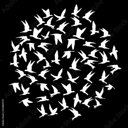 Silhouette of flying birds on black background. Inspirational body flash tattoo ink. Vector.