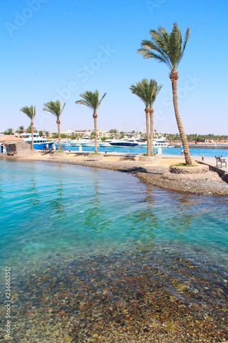 View of tropical island with palm trees and sea. Paradise island in Red sea
