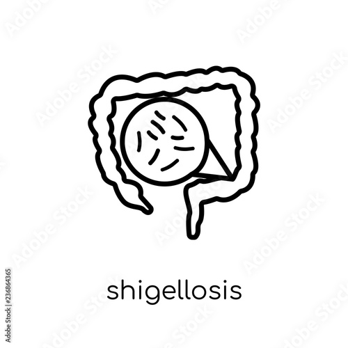 Shigellosis icon. Trendy modern flat linear vector Shigellosis icon on white background from thin line Diseases collection