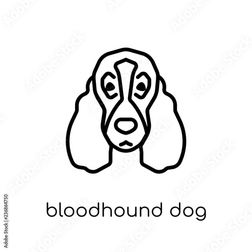 Bloodhound dog icon. Trendy modern flat linear vector Bloodhound dog icon on white background from thin line dogs collection