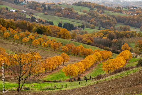 Allassac (Corrèze, France) - Vue automnale des vergers photo