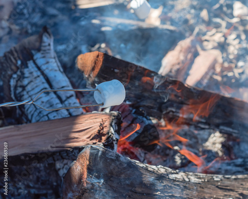 Marshmallow on skewers roasting over fire flames of outdoor campfire. Delicious white fluffy roasted marshmallows