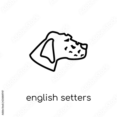 English Setters dog icon. Trendy modern flat linear vector English Setters dog icon on white background from thin line dogs collection