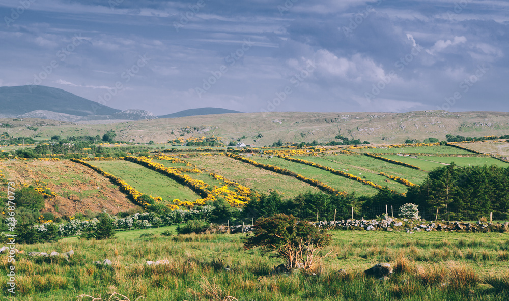 Ireland green landscape