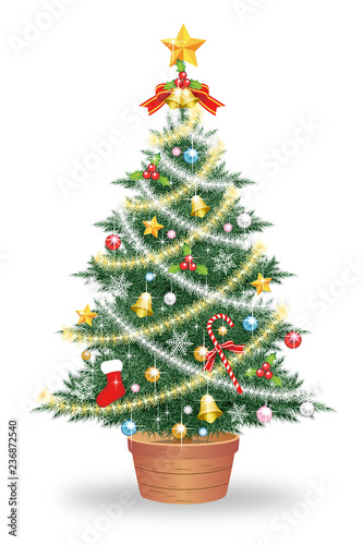 クリスマスツリー　白背景