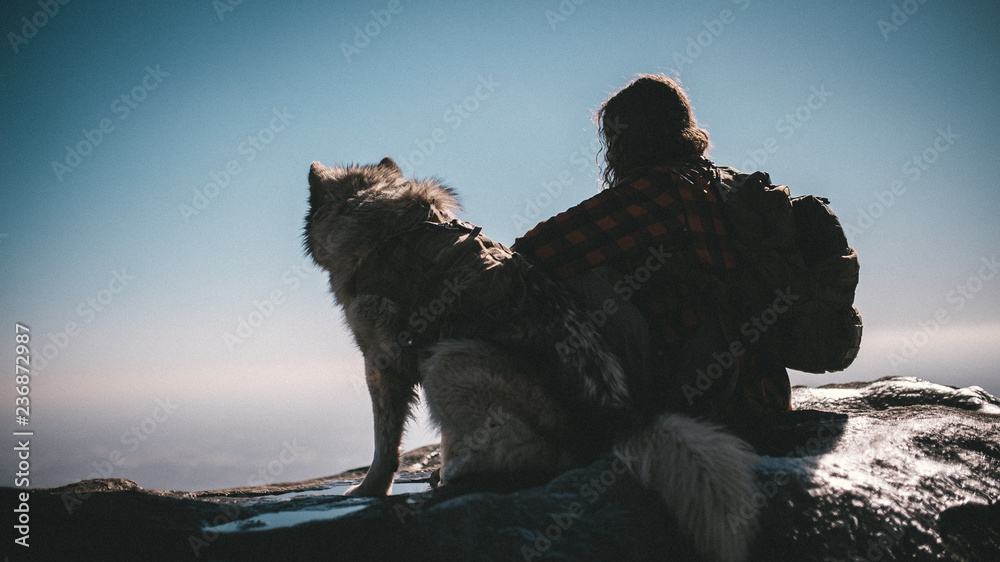 Mans best friend on top of mountain hike