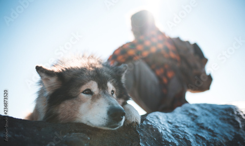 Dog/wolf and human in the wild