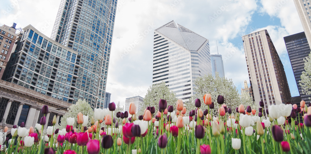 Chicago at springtime