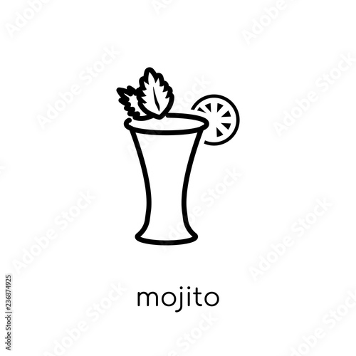 mojito icon. Trendy modern flat linear vector mojito icon on white background from thin line Drinks collection  outline vector illustration