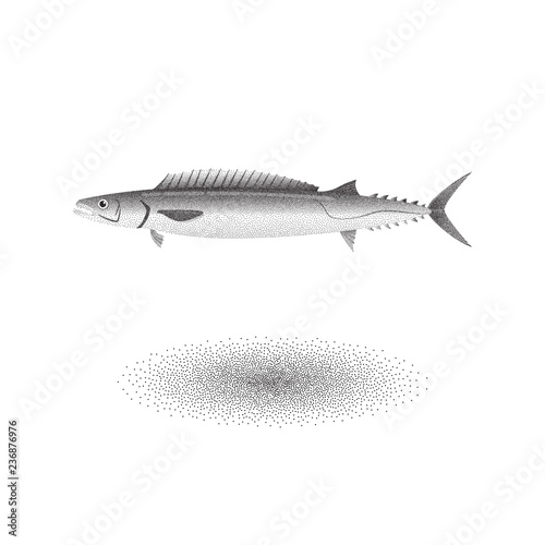 Barracouta fish with stipple effect in black and white