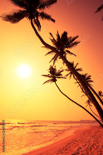 Fototapeta Naklejka Na Ścianę i Meble -  Silhouette of tropical beach under coconut palm trees in the sunset