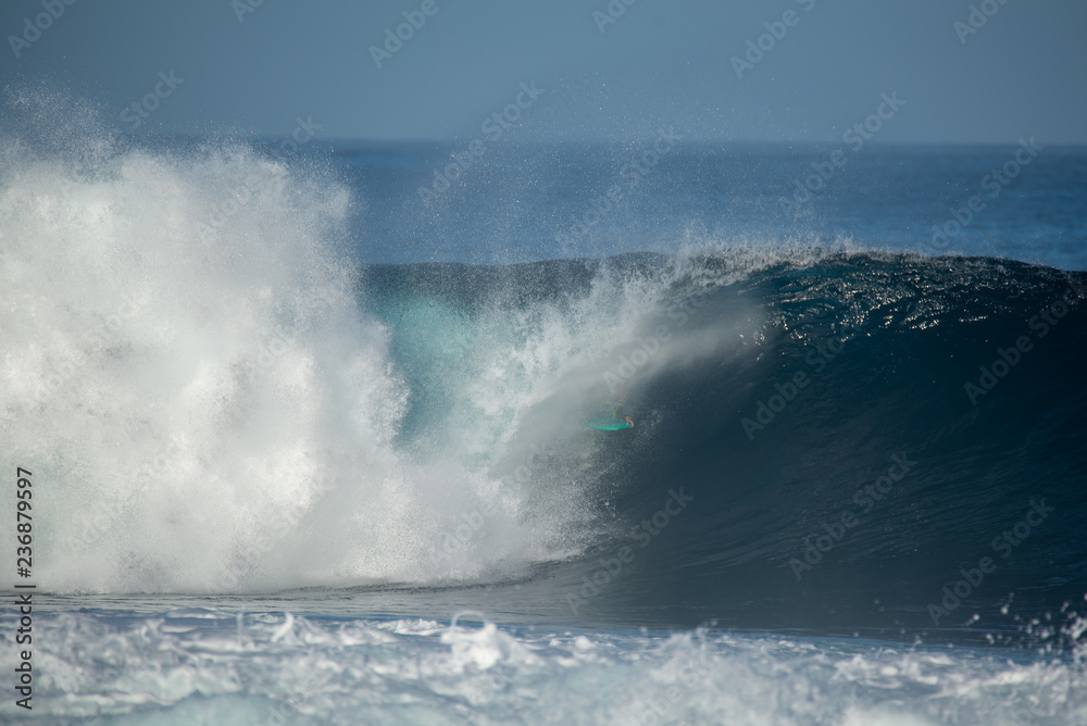 surfer in action on a big wave