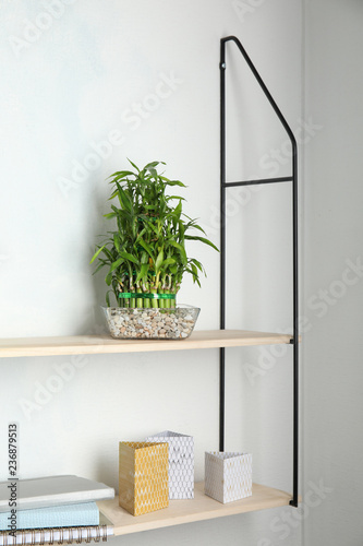Shelves with green lucky bamboo in glass bowl and decor on light wall