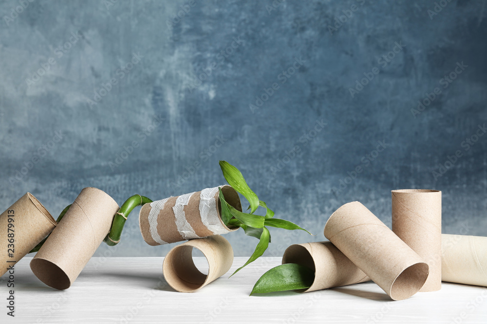 Fototapeta premium Composition with bamboo plant and empty toilet paper rolls on table. Space for text