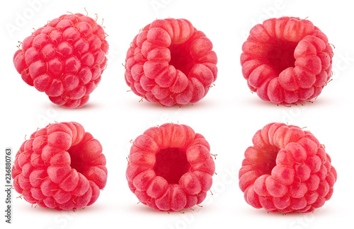 Tela Raspberry isolated on white background, clipping path, full depth of field