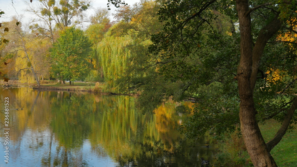 Parks und Landschaft im Herbst