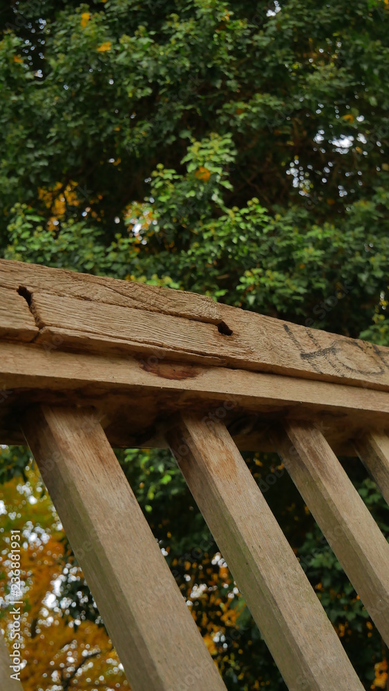 Naklejka premium Parks und Landschaft im Herbst