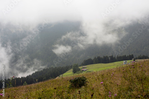 View of high plateau village at mountain and forest in fog creating beautiful nature scene. The image is captured in Trabzon/Rize area of Black Sea region located at northeast of Turkey.