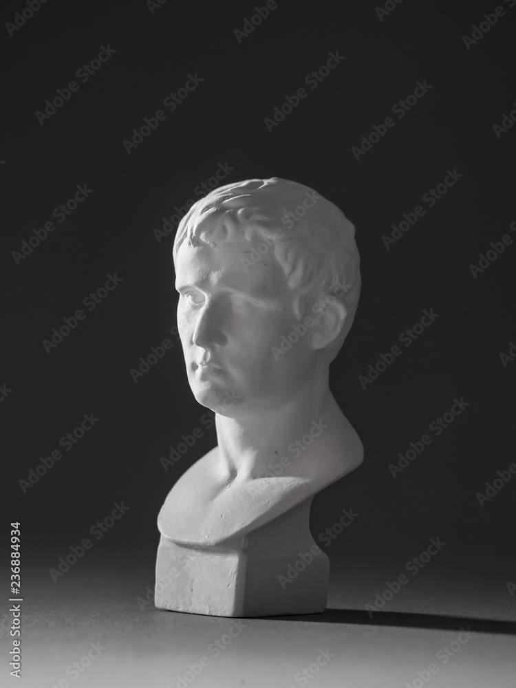 Agrippa plaster figure. for drawing.
