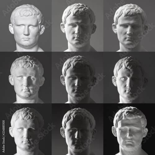 Express to different angles of light. Agrippa plaster figure. for drawing.