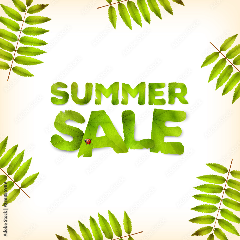 Fototapeta premium Vector summer square background, green leaves and the inscription Summer Sale, made from green leaves, isolated on white background.