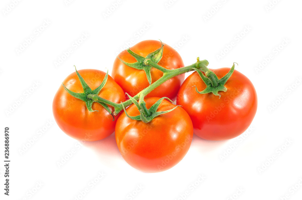 Beautiful red ripe tomatoes on a green branch. Fresh tomatoes isolated on white.