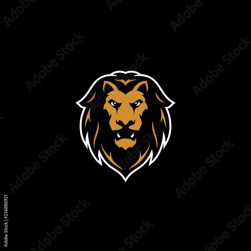 Fototapeta Naklejka Na Ścianę i Meble -  Logo design combination of Lion head. can for various kinds of logos