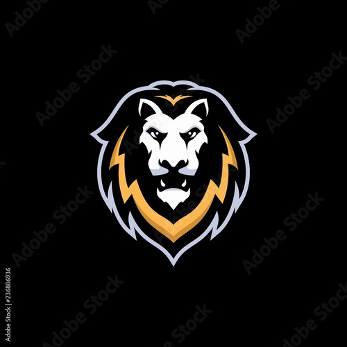 Fototapeta Naklejka Na Ścianę i Meble -  Logo design combination of Lion head. can for various kinds of logos