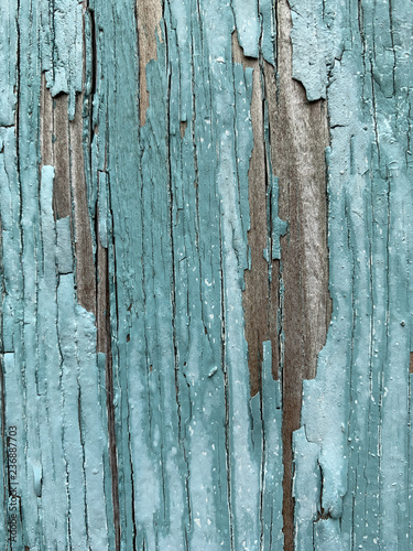 old wood background