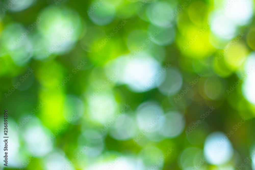 Obraz premium green blurred backdrop of nature, circle light wallpaper, white bokeh background