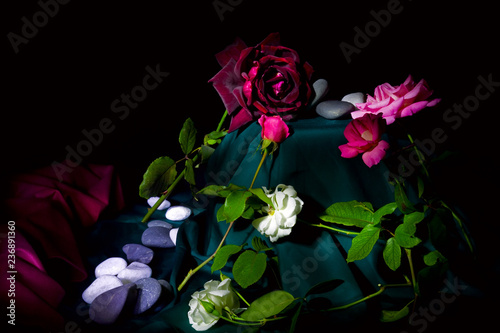 Fiore - Rosa - rosso - floreale - giardino - amore - primavera 