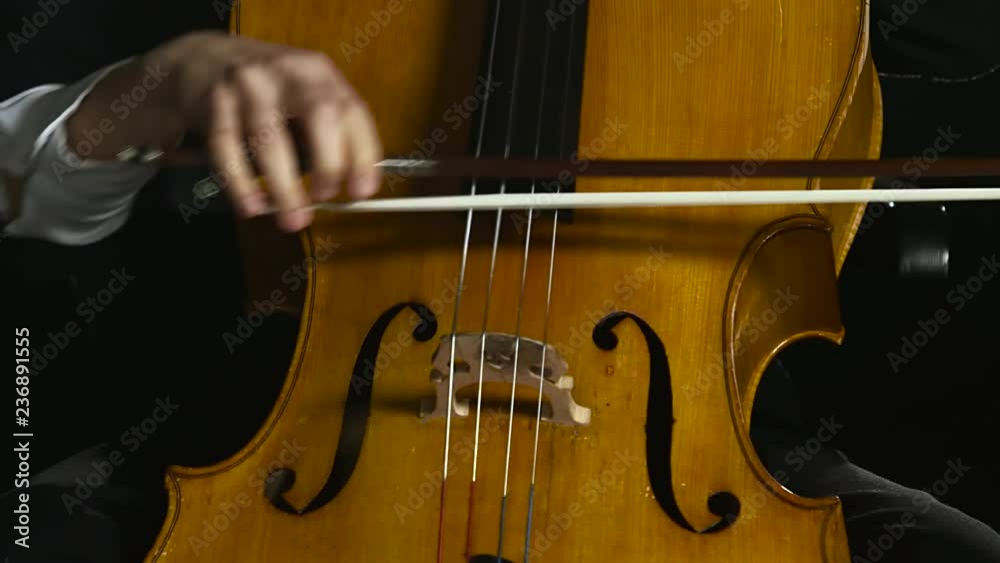 Woman plays the cello professionally classic music. Black smoke background. Close up Woman plays the cello professionally classic music. Black smoke background. Close up