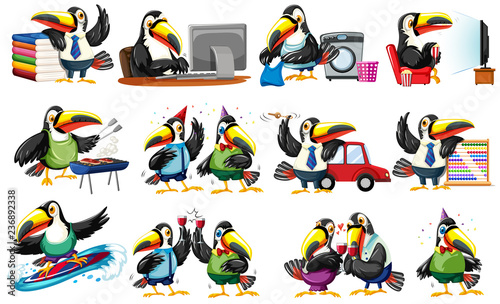 Set of toucan character