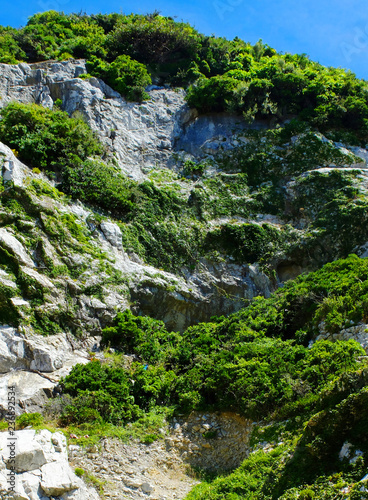 岩場と緑の木々