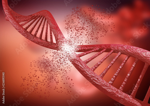 Fotografie engineering and genetic editing through the Crispr technique