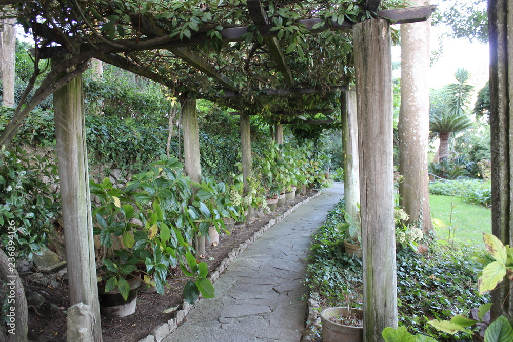 Vine covered trellis walkway with flowers Vine covered trellis walkway with flowers