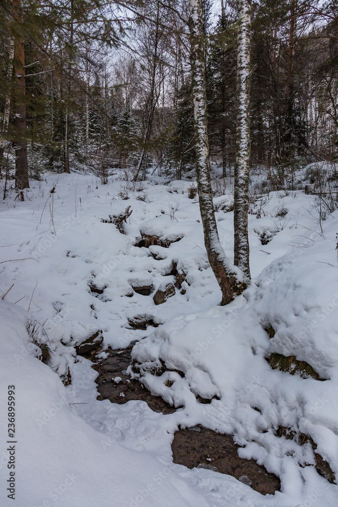 Beautiful magical winter forest on Christmas Eve, Altai, Russia Beautiful magical winter forest on Christmas Eve, Altai, Russia