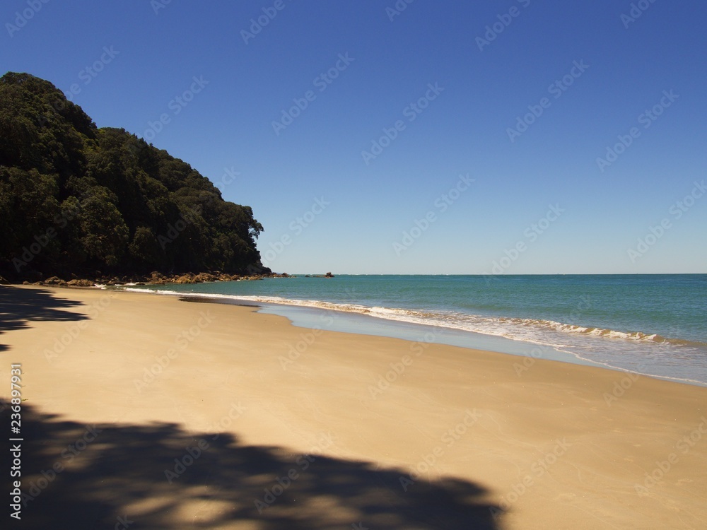 Amazing empty beach in New Zealand with crystal clear water, a wave coming in and trees and rocks in the background, clear blue skies