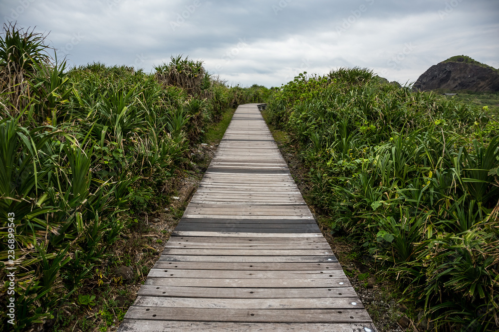 Obraz premium Hiking wooden trail path