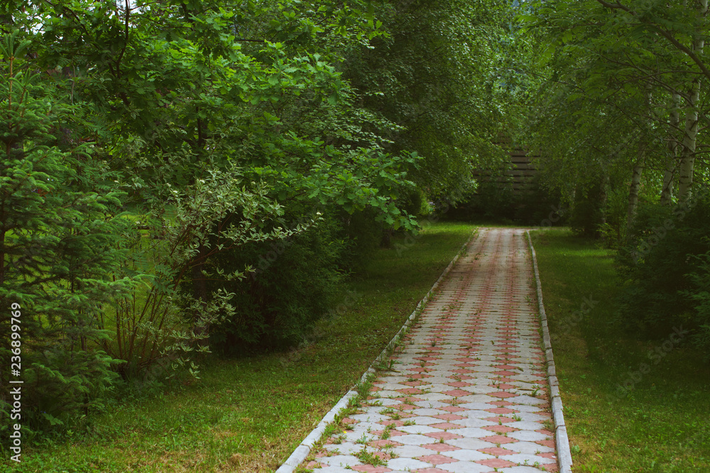 Obraz premium paths in the Park