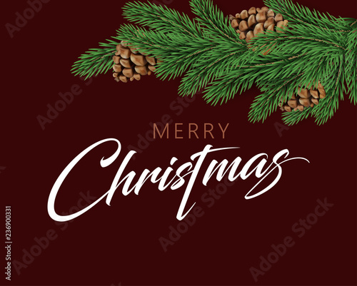 Merry Christmas festive greeting card with green fir branch with cones.