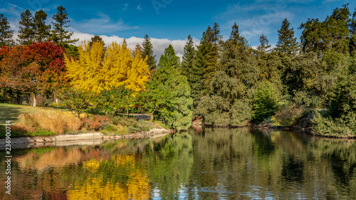 Fall colors at UC Davis California