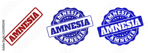 AMNESIA grunge stamp seals in red and blue colors. Vector AMNESIA labels with grunge style. Graphic elements are rounded rectangles, rosettes, circles and text labels.