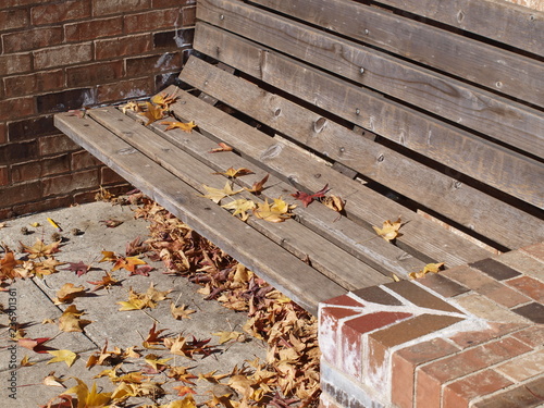 Leaves on Park Bench Inset into Planter Wall.