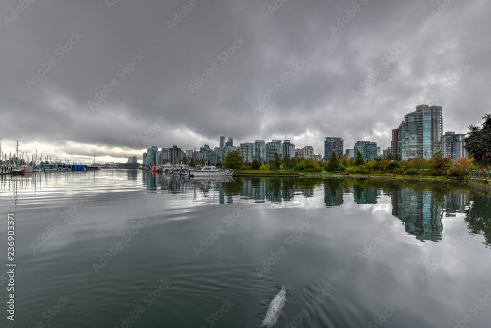 Fototapeta premium Downtown Vancouver Skyline - Vancouver, Canada