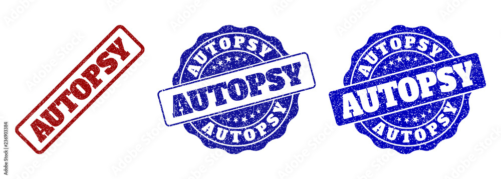 AUTOPSY grunge stamp seals in red and blue colors. Vector AUTOPSY marks with grunge texture. Graphic elements are rounded rectangles, rosettes, circles and text titles.