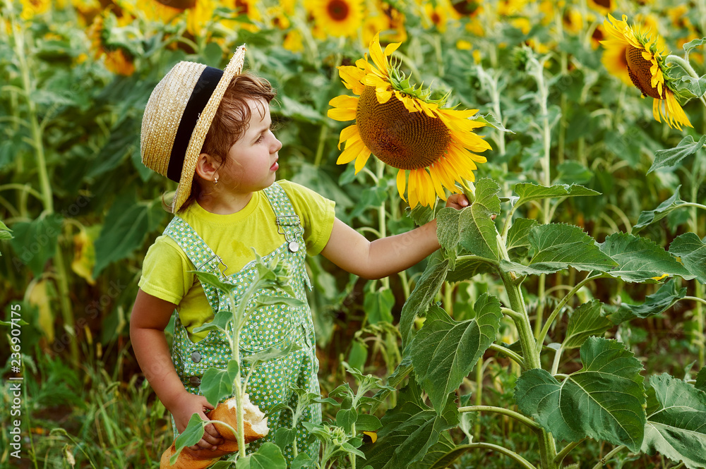 Little girl in a straw hat on a walk in the field with sunflowers Stock ...
