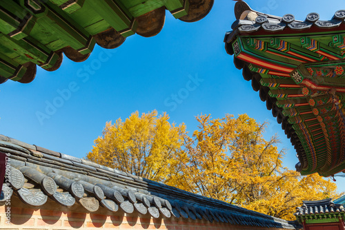 Detail of traditional Korean roof. Colorful decorated ornament for ancient Korean palace with yellow ginkgo tree in autumn season at Gyeongbokgung Palace, Seoul, South Korea.  