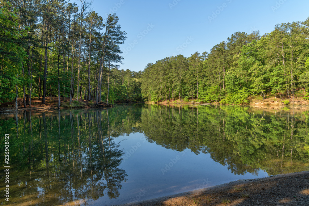 Lake Allatoona Cove and Forest in Spring