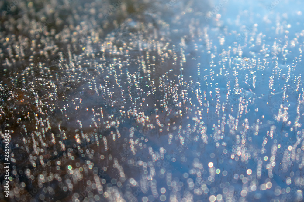 bubbles in the frozen water bubbles in the frozen water